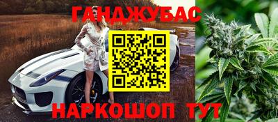 тгк Моздок