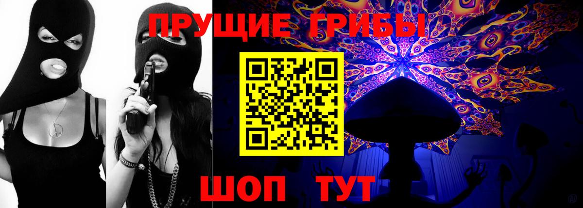 Черкесск  Галлюциногенные грибы Cubensis  Вход с VPN 
